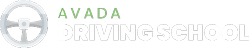 Driving Logo